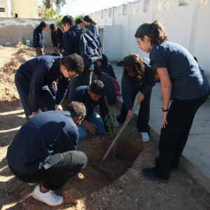groupe plante arbre
